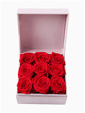 怦然心动----永生花盒：厄瓜多尔进口红色永生玫瑰